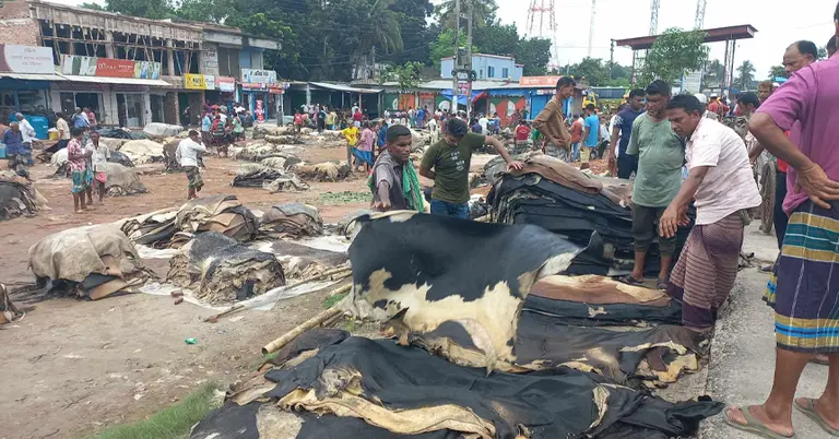 যশোরের রাজার হাটে চামড়ার দাম নিয়ে হতাশ ব্যবসায়ীরা